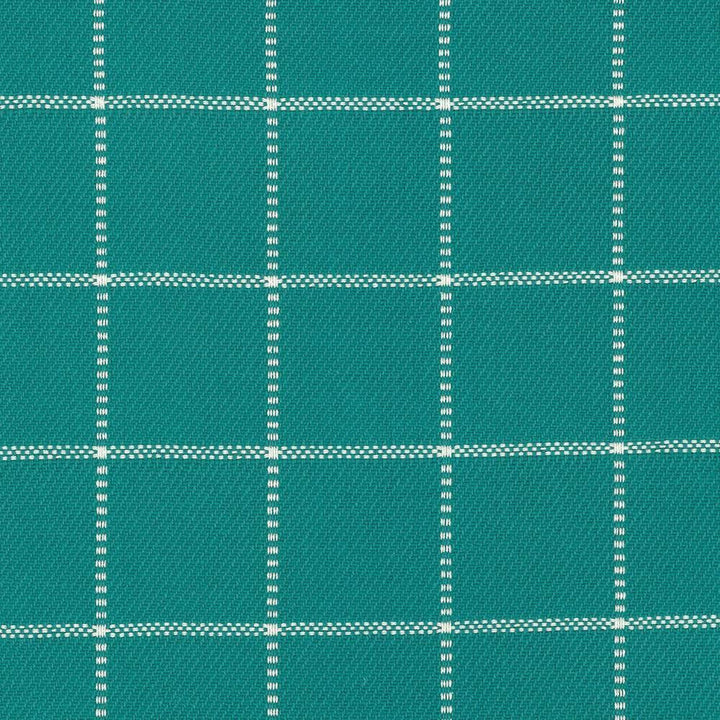 Skylar Check Caribe by Kasmir Designer Fabric See sample 100% Cotton
 INDIA 9,000 Wyzenbeek Double Rubs </p><p>Repeat: Horizontal: 2 2/8 inches and Vertical: 2 2/8 inches 54 - Swanky Fabrics -