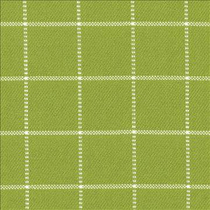 Kasmir Fabric Skylar Check Island Green