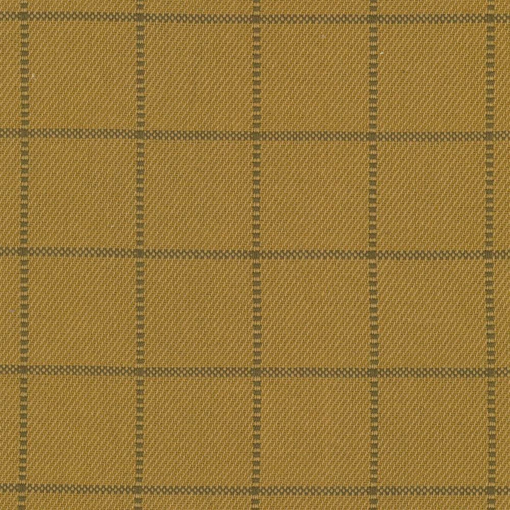 Skylar Check Oro by Kasmir Designer Fabric See sample 100% Cotton
 INDIA 9,000 Wyzenbeek Double Rubs </p><p>Repeat: Horizontal: 2 2/8 inches and Vertical: 2 2/8 inches 54 - Swanky Fabrics -