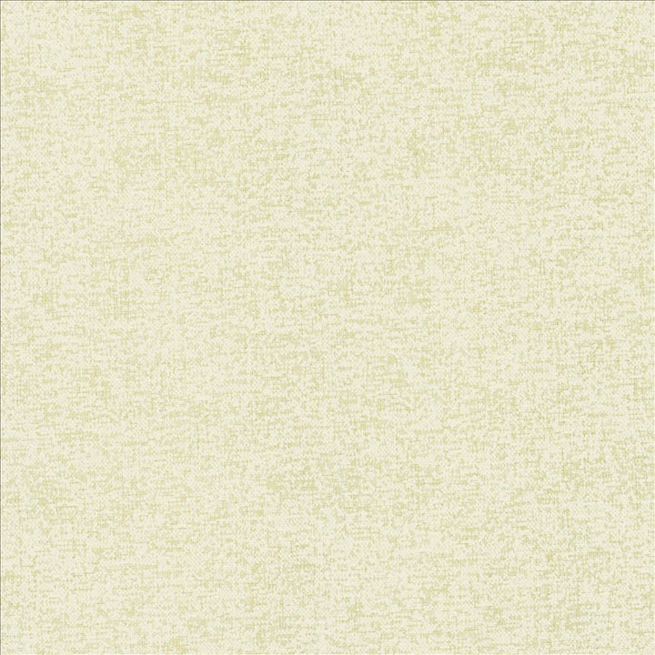 Sojourner Snow by Kasmir Designer Fabric 5171 100% Polyester
 CHINA 50,000 Wyzenbeek Double Rubs </p><p>Repeat: Horizontal: N/A and Vertical: N/A 54 - Swanky Fabrics -