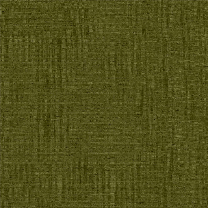Sotto Avocado by Kasmir Designer Fabric See sample 100% Polyester
 INDIA 30,000 Wyzenbeek Double Rubs </p><p>Repeat: Horizontal: N/A and Vertical: N/A 54 - Swanky Fabrics -