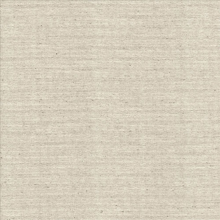 Sotto Silver by Kasmir Designer Fabric 5126 100% Polyester
 INDIA </p><p>Repeat: Horizontal: N/A and Vertical: N/A 54 - 55 - Swanky Fabrics -