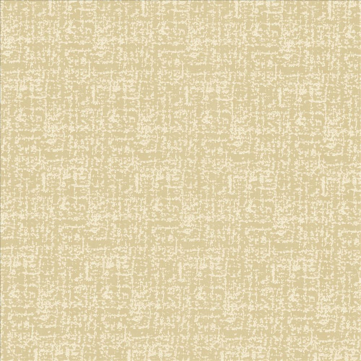 Spackle Sand Dollar  by Kasmir Designer Fabric 5110 100% Polyester
 INDIA 20,000 Wyzenbeek Double Rubs Horizontal: N/A and Vertical: N/A 54  - Swanky Fabrics -