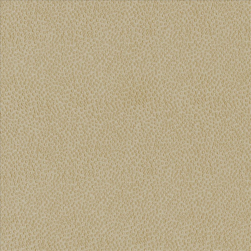 Spontaneity Cedar by Kasmir Designer Fabric 5092 100% Polyester INDIA 30,000 Wyzenbeek Double Rubs Horizontal: 0 Inches and Vertical: 0 Inches 54 - 55 - Swanky Fabrics -