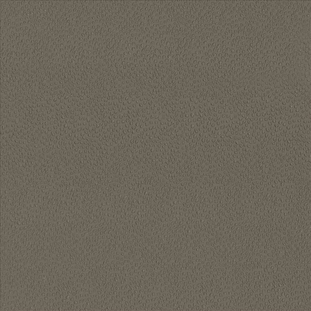 Spontaneity Cocoa by Kasmir Designer Fabric 5092 100% Polyester
 INDIA </p><p>Repeat: Horizontal: N/A and Vertical: N/A 54 - 55 - Swanky Fabrics -