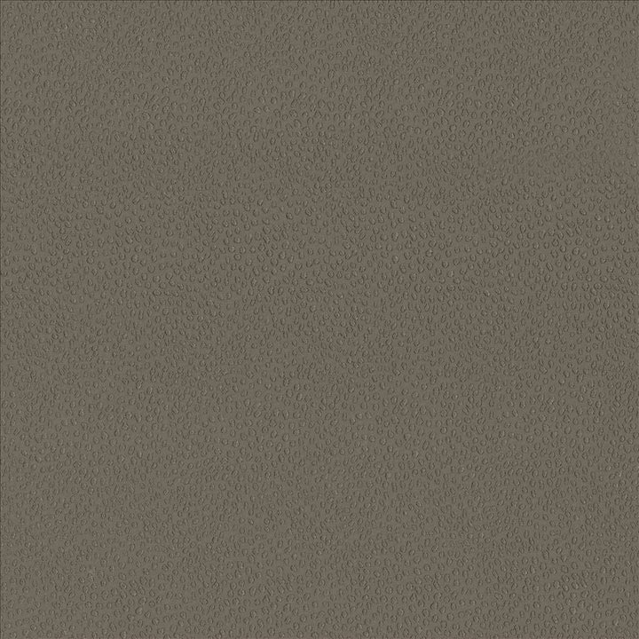 Spontaneity Cocoa by Kasmir Designer Fabric 5092 100% Polyester
 INDIA </p><p>Repeat: Horizontal: N/A and Vertical: N/A 54 - 55 - Swanky Fabrics -