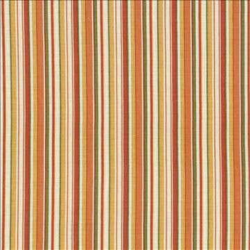 Spring Stripe Apricot by Kasmir Designer Fabric 5070 100% Cotton PAKISTAN 15,000 Wyzenbeek Double Rubs H: 5 inches, V: N/A 54 - 55 - Swanky Fabrics - Kasmir