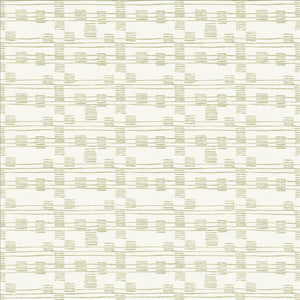 Kasmir Fabric Streets Silver