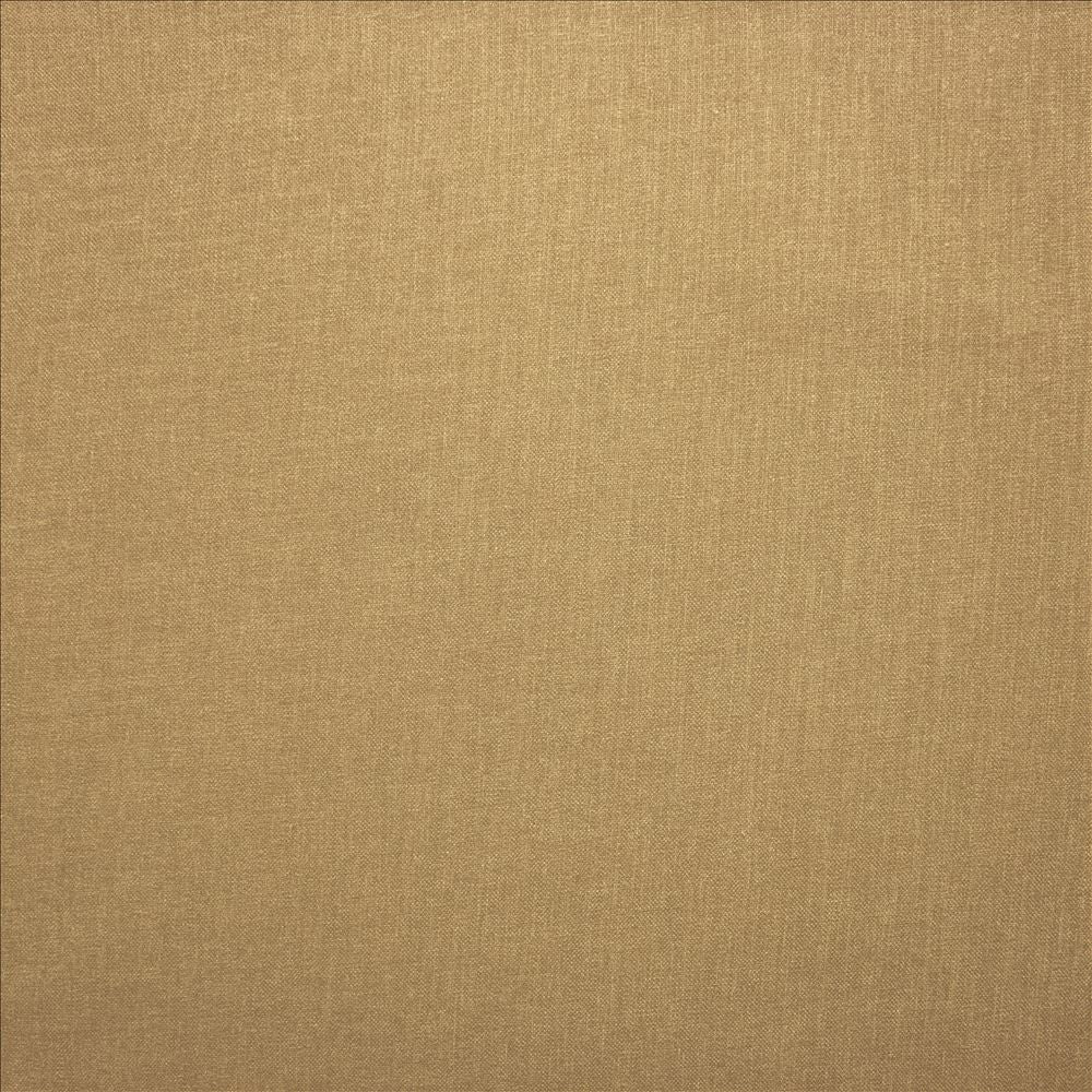 Subtle Chic Cashew by Kasmir Designer Fabric See sample 100% Polyester
 INDIA 50,000 Wyzenbeek Double Rubs </p><p>Repeat: Horizontal: N/A and Vertical: N/A 54 - Swanky Fabrics -