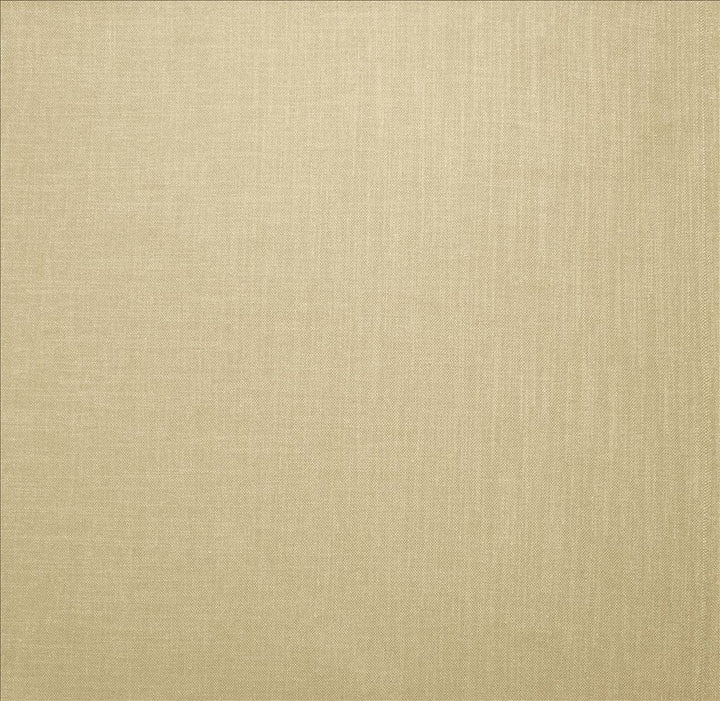 Subtle Chic Cream by Kasmir Designer Fabric 5160 100% Polyester INDIA 50,000 Wyzenbeek Double Rubs Horizontal: 0 Inches and Vertical: 0 Inches 54 - 57 - Swanky Fabrics -
