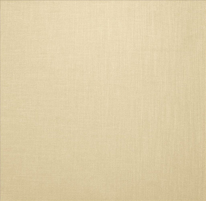 Subtle Chic Cream by Kasmir Designer Fabric 5040 100% Polyester
 INDIA </p><p>Repeat: Horizontal: N/A and Vertical: N/A 54 - 57 - Swanky Fabrics -