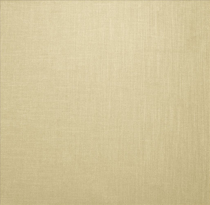 Subtle Chic Cream by Kasmir Designer Fabric See sample 100% Polyester
 INDIA 50,000 Wyzenbeek Double Rubs </p><p>Repeat: Horizontal: N/A and Vertical: N/A 54 - Swanky Fabrics -
