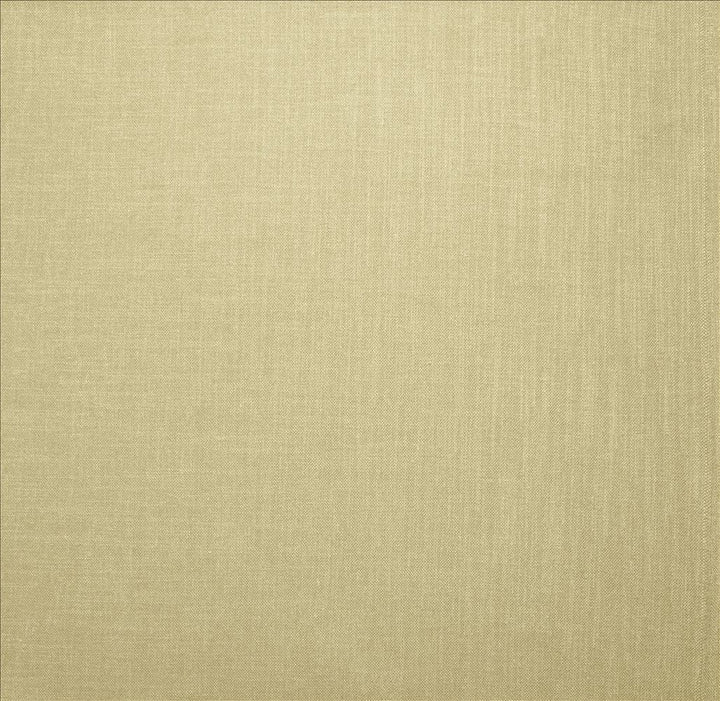 Subtle Chic Dove  by Kasmir Designer Fabric 5160 100% Polyester
 INDIA 50,000 Wyzenbeek Double Rubs Horizontal: N/A and Vertical: N/A 54  - Swanky Fabrics -