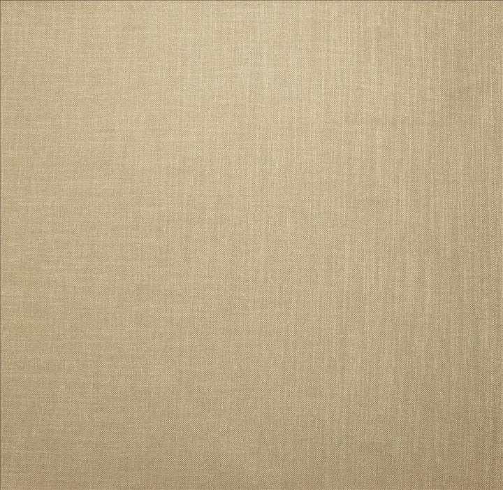 Subtle Chic Froth by Kasmir Designer Fabric 5160 100% Polyester
 INDIA 50,000 Wyzenbeek Double Rubs </p><p>Repeat: Horizontal: N/A and Vertical: N/A 54 - Swanky Fabrics -