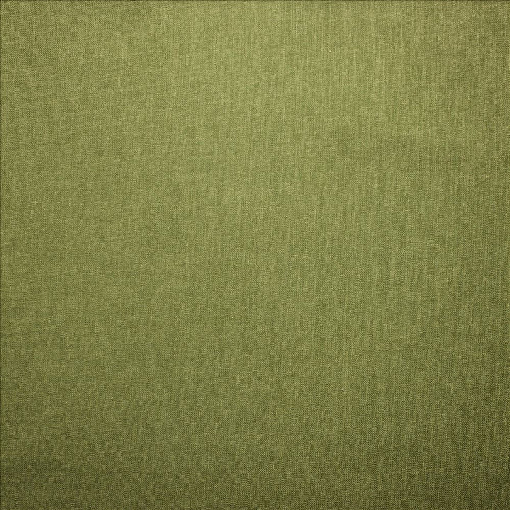 Subtle Chic Green by Kasmir Designer Fabric See sample 100% Polyester
 INDIA 50,000 Wyzenbeek Double Rubs </p><p>Repeat: Horizontal: N/A and Vertical: N/A 54 - Swanky Fabrics -