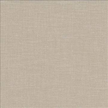 Subtle Chic Latte by Kasmir Designer Fabric 5040 100% Polyester INDIA 50,000 Wyzenbeek Double Rubs H: N/A, V: N/A 55 - 57 - Swanky Fabrics - Kasmir