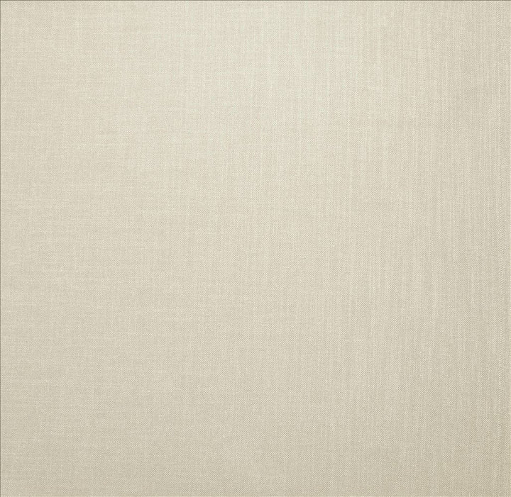 Subtle Chic Natural by Kasmir Designer Fabric 5040 100% Polyester INDIA 50,000 Wyzenbeek Double Rubs Horizontal: 0 Inches and Vertical: 0 Inches 54 - 57 - Swanky Fabrics -