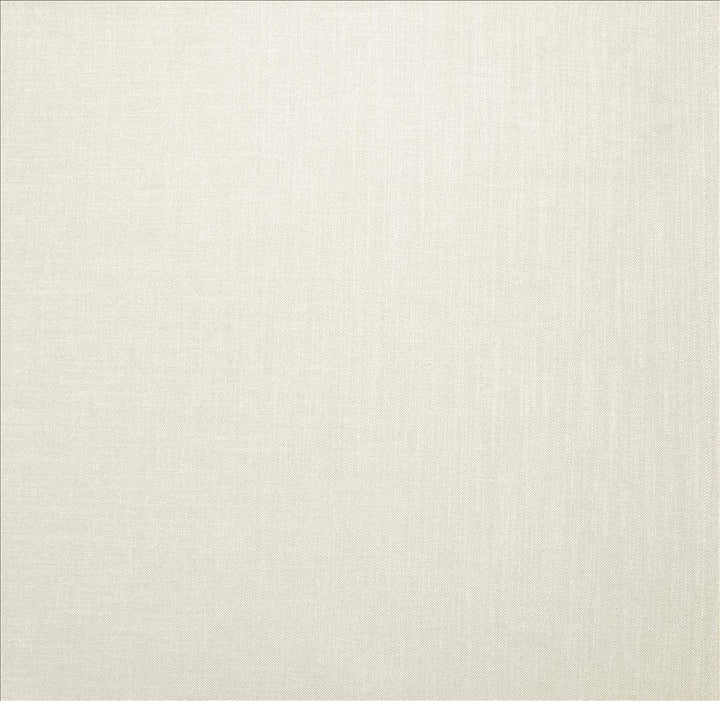 Subtle Chic Optic by Kasmir Designer Fabric 5160 100% Polyester
 INDIA 50,000 Wyzenbeek Double Rubs </p><p>Repeat: Horizontal: N/A and Vertical: N/A 54 - Swanky Fabrics -