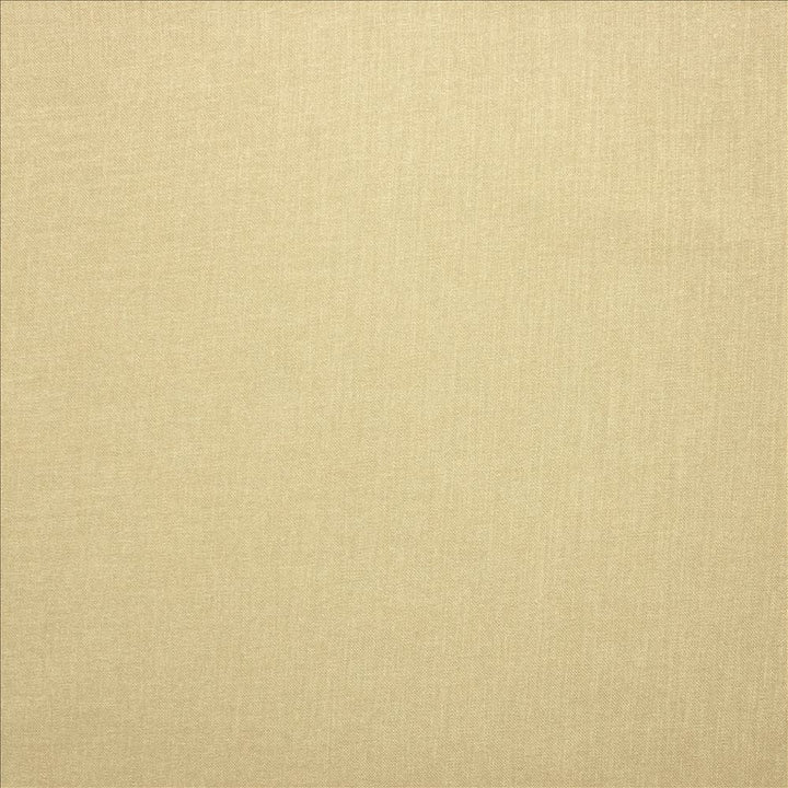 Subtle Chic Oyster by Kasmir Designer Fabric 5040 100% Polyester INDIA 50,000 Wyzenbeek Double Rubs Horizontal: 0 Inches and Vertical: 0 Inches 54 - 57 - Swanky Fabrics -