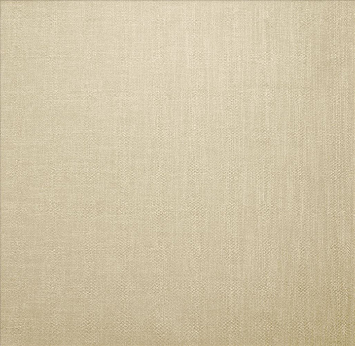 Subtle Chic Pearl by Kasmir Designer Fabric 5160 100% Polyester
 INDIA 50,000 Wyzenbeek Double Rubs </p><p>Repeat: Horizontal: N/A and Vertical: N/A 54 - Swanky Fabrics -