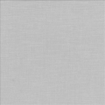Subtle Chic Silver by Kasmir Designer Fabric 5040 100% Polyester INDIA 50,000 Wyzenbeek Double Rubs H: N/A, V: N/A 55 - 57 - Swanky Fabrics - Kasmir