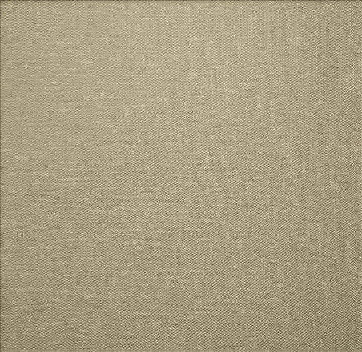 Subtle Chic Silver by Kasmir Designer Fabric 5160 100% Polyester
 INDIA </p><p>Repeat: Horizontal: N/A and Vertical: N/A 54 - 57 - Swanky Fabrics -