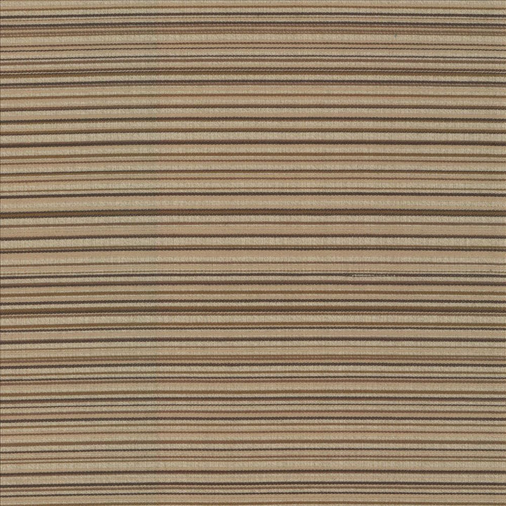 Sunset Boulevard Latte by Kasmir Designer Fabric 5083 55% Polyester
45% Rayon
 CHINA </p><p>Repeat: Horizontal: N/A and Vertical: 5 4/8 inches 55 - Swanky Fabrics -