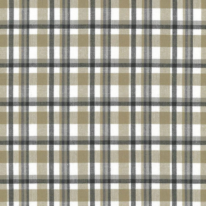 Tamron Plaid Sandstone  by Kasmir Designer Fabric 5067 100% Cotton
 INDIA 30,000 Wyzenbeek Double Rubs Horizontal: 2 inches and Vertical: 2 inches 54  - Swanky Fabrics -