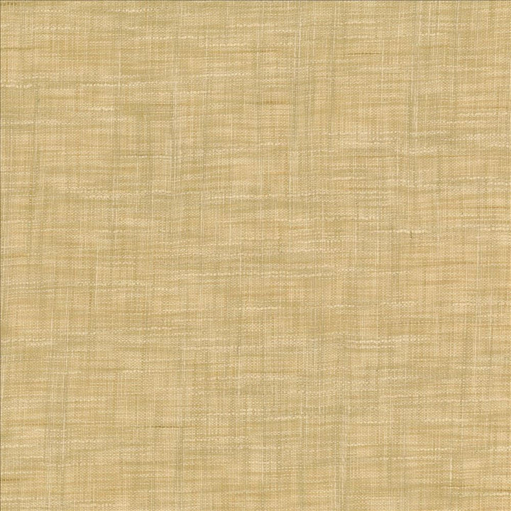 Tao Texture Rice by Kasmir Designer Fabric 5139 100% Polyester
 INDIA Not Tested </p><p>Repeat: Horizontal: N/A and Vertical: N/A 54 - Swanky Fabrics -