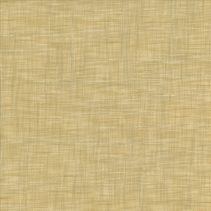 Tao Texture Rice by Kasmir Designer Fabric 5061 100% Polyester
 INDIA </p><p>Repeat: Horizontal: N/A and Vertical: N/A 54 - Swanky Fabrics -