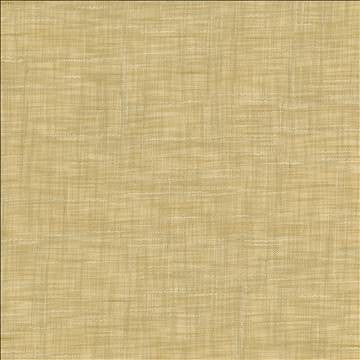 Tao Texture Rice by Kasmir Designer Fabric 5139 100% Polyester INDIA Not Tested H: N/A, V: N/A 54 - Swanky Fabrics - Kasmir