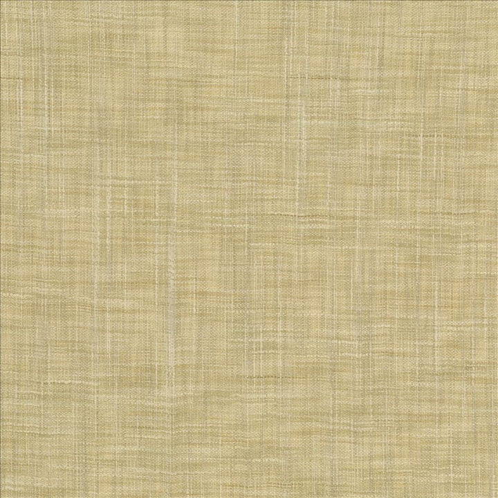 Tao Texture Tea Stain by Kasmir Designer Fabric 5139 100% Polyester
 INDIA </p><p>Repeat: Horizontal: N/A and Vertical: N/A 54 - Swanky Fabrics -