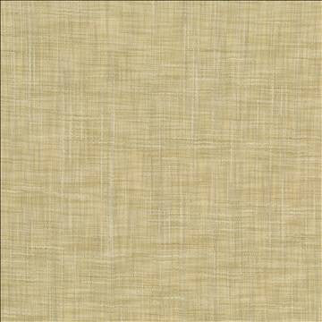 Tao Texture Tea Stain by Kasmir Designer Fabric 5139 100% Polyester INDIA Not Tested H: N/A, V: N/A 54 - Swanky Fabrics - Kasmir