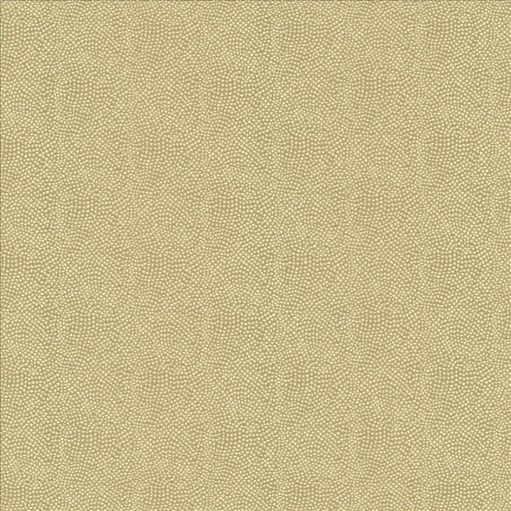 Textured Dot Oatmeal by Kasmir Designer Fabric 5144 100% Polyester
 CHINA </p><p>Repeat: Horizontal: N/A and Vertical: N/A 54 - Swanky Fabrics -