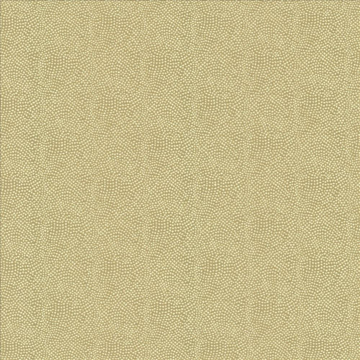 Textured Dot Oatmeal  by Kasmir Designer Fabric 5144 100% Polyester
 CHINA 15,000 Wyzenbeek Double Rubs Horizontal: N/A and Vertical: N/A 54  - Swanky Fabrics -