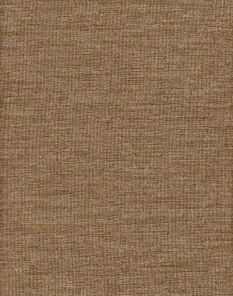 Heritage Fabric Thai Silk Bronze