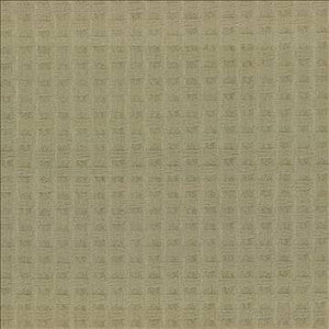 Kasmir Fabric Thatch Sage