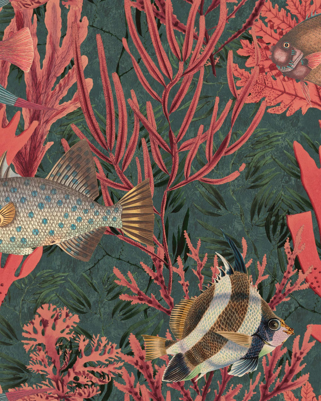 The Undersea wallpaper by Mind the Gap (WP20303), swatch