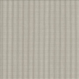 Kasmir Fabric Theodore Smoke