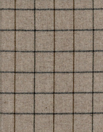 Roth & Tompkins Fabric Torino Earth