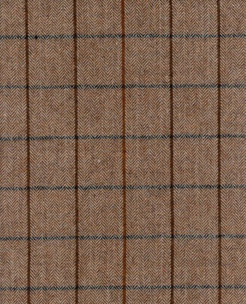 Roth & Tompkins Fabric Torino Sienna