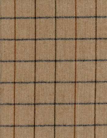 Roth & Tompkins Fabric Torino Toffee