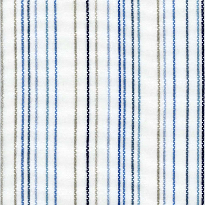Roth & Tompkins Fabric Tucker Indigo