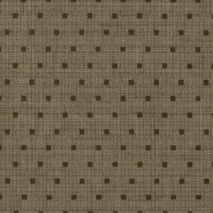 Tuffet Java  by Kasmir Designer Fabric 5068 41% Cotton
40% Polyester
19% Acrylic
 TURKEY 30,000 Wyzenbeek Double Rubs Horizontal: 1 1/8 inches and Vertical: 2 2/8 inches 54  - Swanky Fabrics -