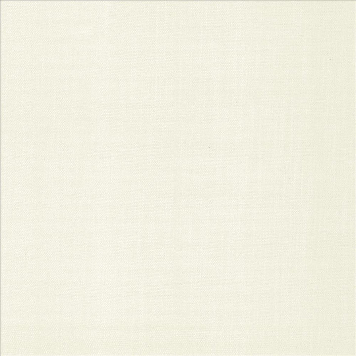 Tundra Chalk by Kasmir Designer Fabric 5161 100% Polyester
 CHINA </p><p>Repeat: Horizontal: N/A and Vertical: N/A 55 - Swanky Fabrics -