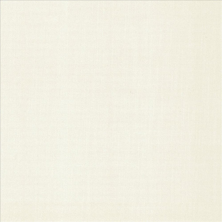 Tundra Chalk  by Kasmir Designer Fabric 5161 100% Polyester
 CHINA 51,000 Wyzenbeek Double Rubs Horizontal: N/A and Vertical: N/A 55  - Swanky Fabrics -