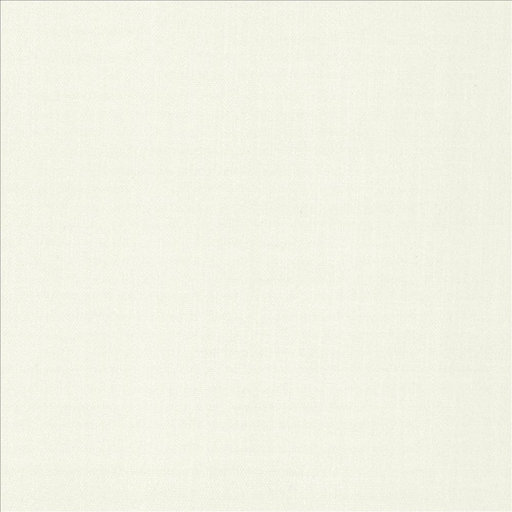 Tundra Chalk by Kasmir Designer Fabric 5161 100% Polyester CHINA 51,000 Wyzenbeek Double Rubs Horizontal: 0 Inches and Vertical: 0 Inches 55 - Swanky Fabrics -