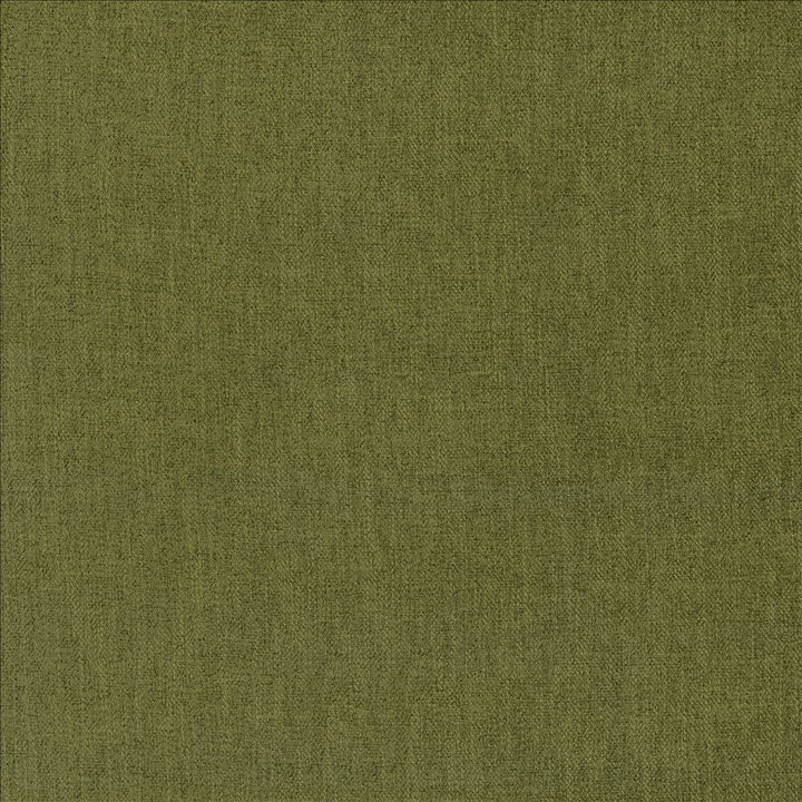 Tundra Dill by Kasmir Designer Fabric 5161 100% Polyester
 CHINA </p><p>Repeat: Horizontal: N/A and Vertical: N/A 55 - Swanky Fabrics -
