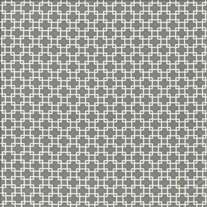 Kasmir Fabric Tunechi Flagstone