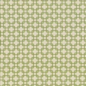 Kasmir Fabric Tunechi Kiwi